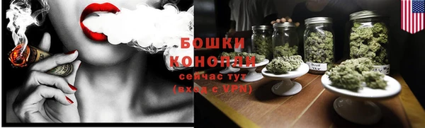 прущие грибы Верхнеуральск