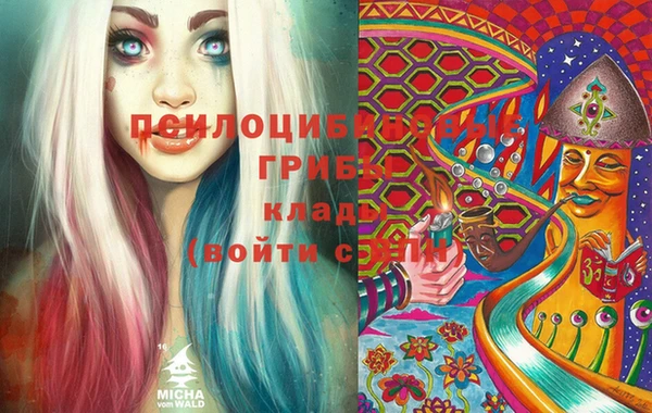 прущие грибы Верхнеуральск