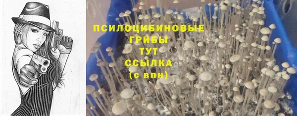 прущие грибы Верхнеуральск