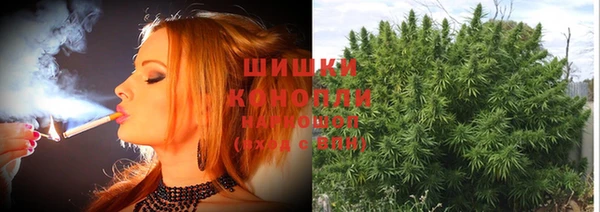 прущие грибы Верхнеуральск
